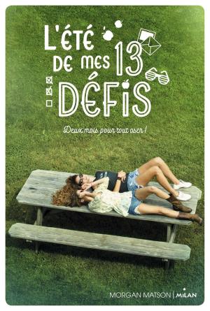 Book cover of L'été de mes 13 défis