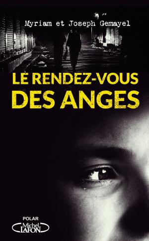 Cover of the book Le rendez-vous des anges by Amelie Antoine