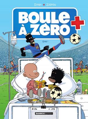 Cover of the book Goal ! by Hervé Richez