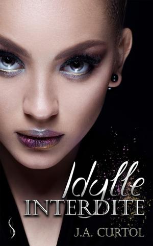 Cover of the book Idylle interdite by Laëtitia Reynders