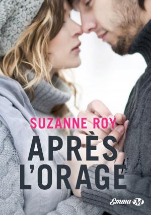 Cover of the book Après l'orage by Scott Bachmann
