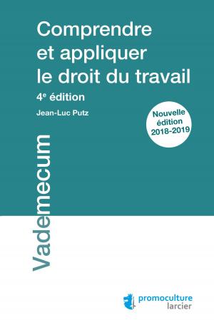 Cover of the book Comprendre et appliquer le droit du travail by Édouard Umberto Goût, Frédéric-Jérôme Pansier