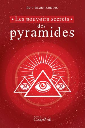 Cover of the book Les pouvoirs secrets des pyramides by Marie Potvin