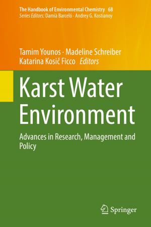 Cover of the book Karst Water Environment by Eris Chinellato, Angel P. del Pobil