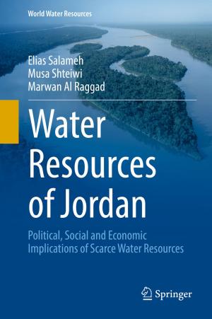 Cover of the book Water Resources of Jordan by Stefan aus der Wiesche, Christian Helcig