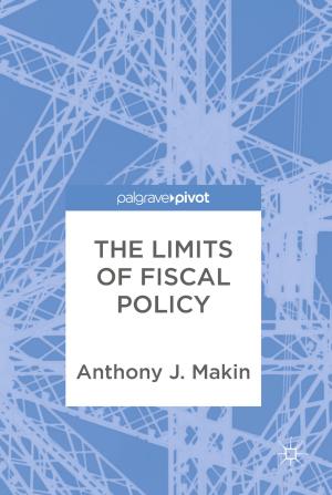 Cover of the book The Limits of Fiscal Policy by Jerónimo Castrillón Mazo, Rainer Leupers