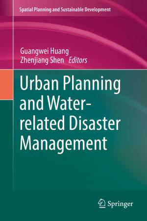 Cover of the book Urban Planning and Water-related Disaster Management by José Antonio Carrillo, Alessio Figalli, Juan Luis Vázquez, Giuseppe Mingione, Manuel del Pino