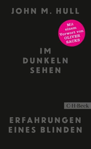 Cover of the book Im Dunkeln sehen by Wolfgang Benz
