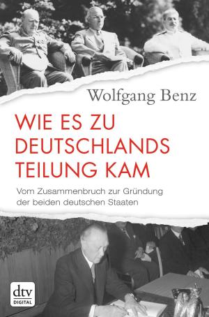Book cover of Wie es zu Deutschlands Teilung kam