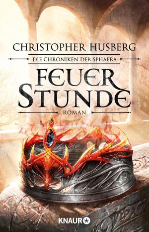 Cover of the book Feuerstunde by Andreas Gößling, Michael Tsokos