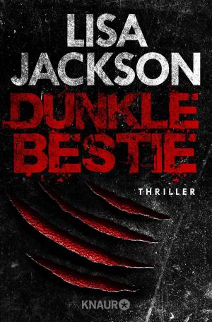 Cover of the book Dunkle Bestie by Iny Lorentz