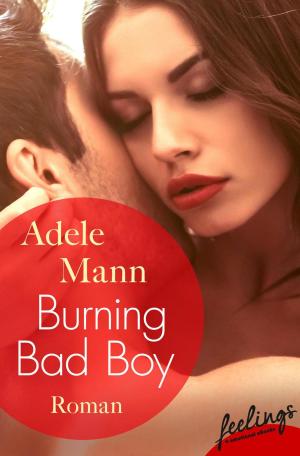 Cover of the book Burning Bad Boy by Carmen Reid