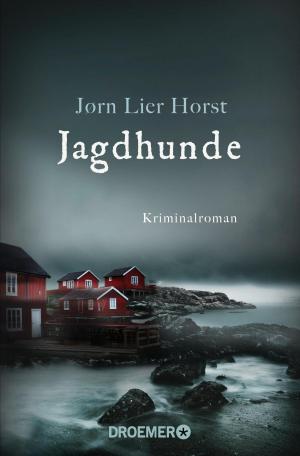 Cover of the book Jagdhunde by Don Winslow