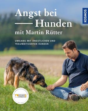 Book cover of Angst bei Hunden