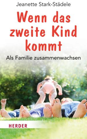 Cover of the book Wenn das zweite Kind kommt by Niklaus Brantschen