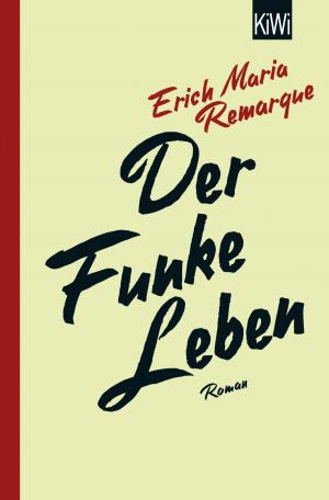 Cover of the book Der Funke Leben by Eva Menasse