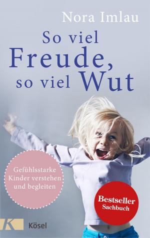 Cover of the book So viel Freude, so viel Wut by Ruth Johnston