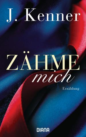 Cover of Zähme mich (Stark Friends Novella 1)