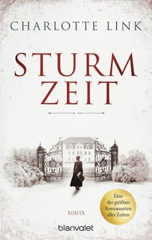 Cover of the book Sturmzeit by Jeffery Deaver