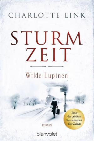 Cover of the book Sturmzeit - Wilde Lupinen by Clive Cussler, Dirk Cussler