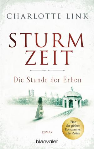Cover of Sturmzeit - Die Stunde der Erben