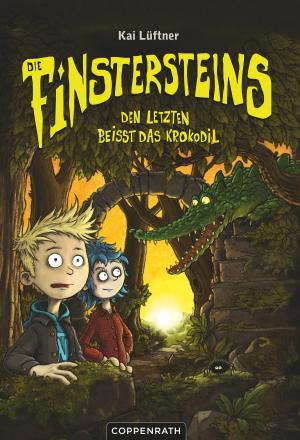 Cover of Die Finstersteins - Band 3