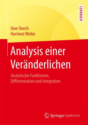 Cover of Analysis einer Veränderlichen