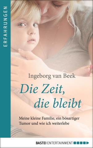 Cover of the book Die Zeit, die bleibt by Pablo Luis Mainzer