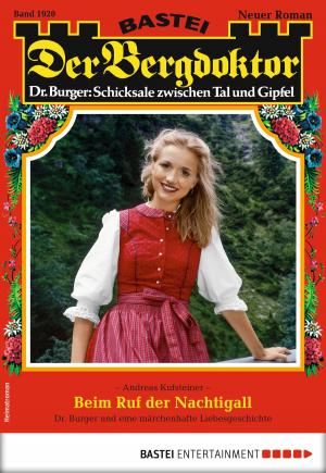 Cover of the book Der Bergdoktor 1920 - Heimatroman by Hilary Norman