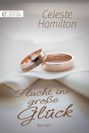 Cover of the book Flucht ins große Glück by Gina Wilkins