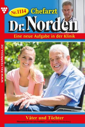 Book cover of Chefarzt Dr. Norden 1114 – Arztroman