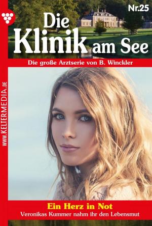 Cover of the book Die Klinik am See 25 – Arztroman by Patricia Vandenberg