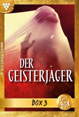 Book cover of Der Geisterjäger Jubiläumsbox 3 – Gruselroman