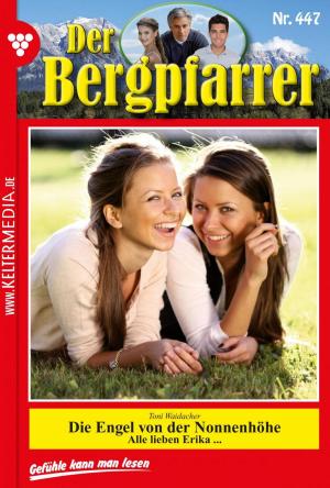 Cover of the book Der Bergpfarrer 447 – Heimatroman by Christine von Bergen