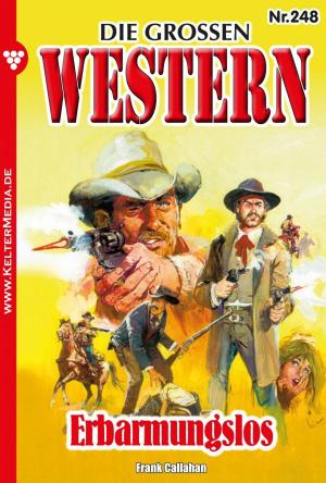 Cover of the book Die großen Western 248 by U.H. Wilken