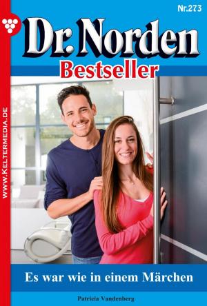 bigCover of the book Dr. Norden Bestseller 273 – Arztroman by 