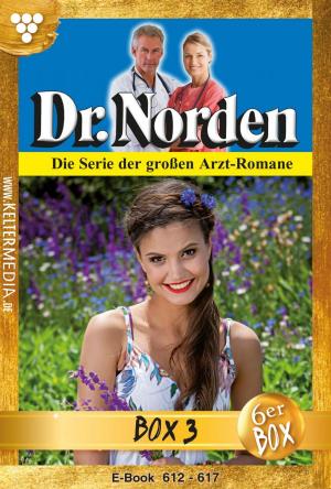 Cover of the book Dr. Norden (ab 600) Jubiläumsbox 3 – Arztroman by Toni Waidacher
