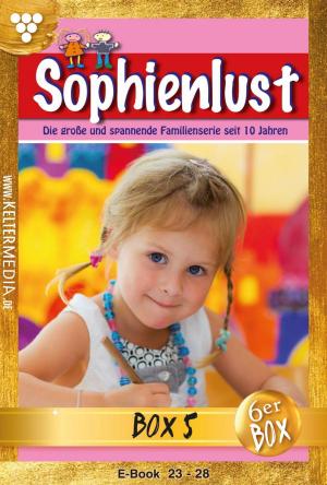 Cover of the book Sophienlust Jubiläumsbox 5 – Familienroman by Patricia Vandenberg