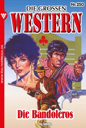 Cover of the book Die großen Western 250 by Toni Waidacher