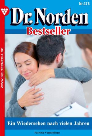bigCover of the book Dr. Norden Bestseller 275 – Arztroman by 