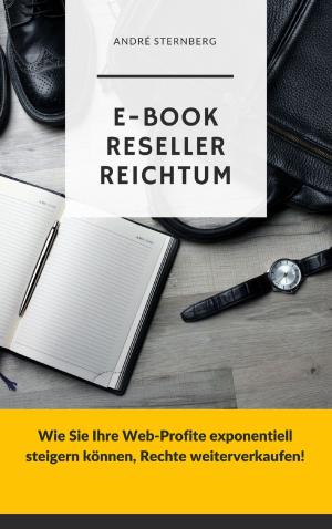 Book cover of E-Book Reseller Reichtum