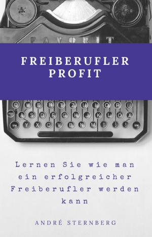 Cover of the book Freiberufler Profit by Ole R. Börgdahl