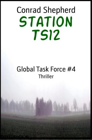 Cover of the book Station TS12 by Luna Sommer
