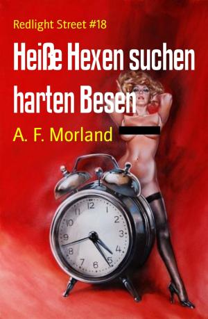 Cover of the book Heiße Hexen suchen harten Besen by Wilfried A. Hary