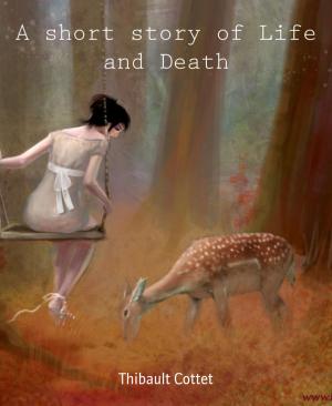 Cover of the book A short story of Life and Death by Glenn Stirling