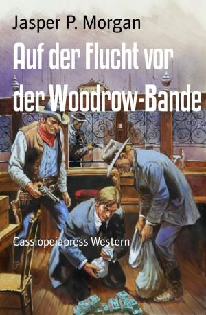Cover of the book Auf der Flucht vor der Woodrow-Bande by Bärbel Schoening