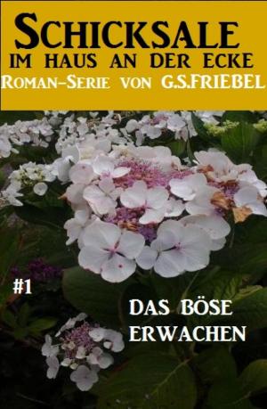 Cover of the book Schicksale im Haus an der Ecke #1: Das böse Erwachen by Luna Sommer