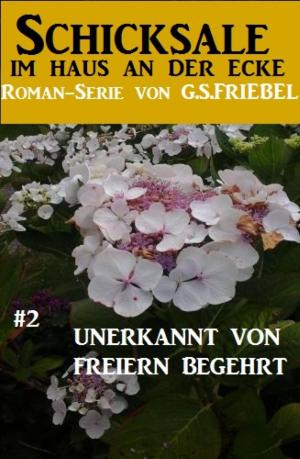 Cover of the book Schicksale im Haus an der Ecke #2: Unerkannt von Freiern begehrt by A. F. Morland