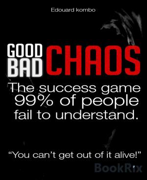 Cover of the book Good Chaos Bad Chaos by Rittik Chandra
