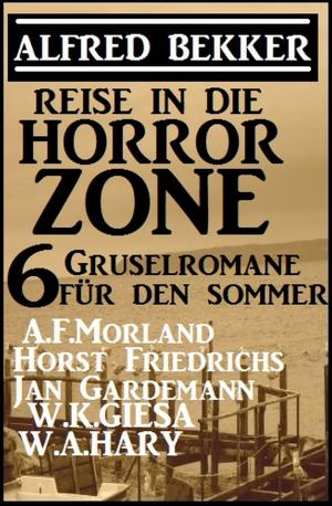 Cover of the book Reise in die Horror-Zone - 6 Gruselromane für den Sommer by Freder van Holk